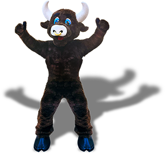 bull
